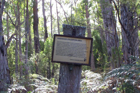 Cobboboonee Forest