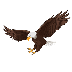 eagle