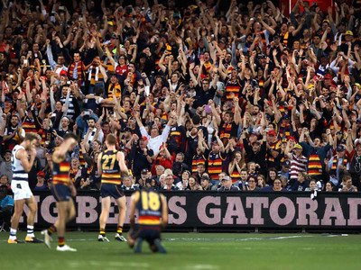 Modern AFL crowd