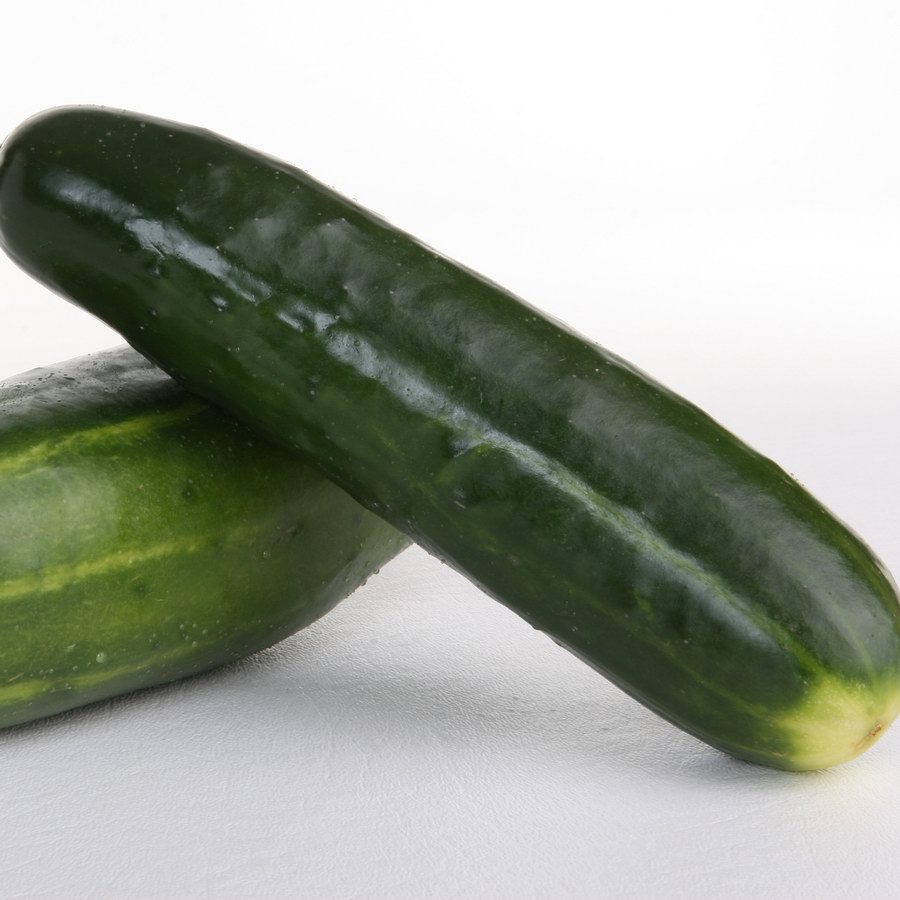 Cucumber